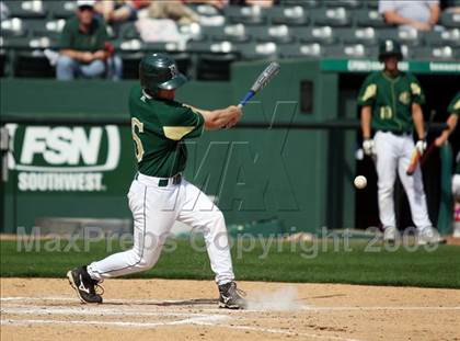 Thumbnail 1 in Birdville @ Highland Park photogallery.