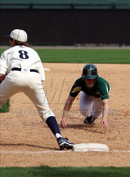 Thumbnail 2 in Birdville @ Highland Park photogallery.
