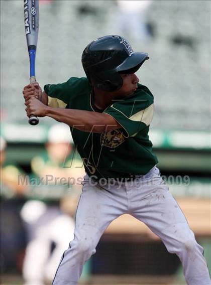 Thumbnail 3 in Birdville @ Highland Park photogallery.