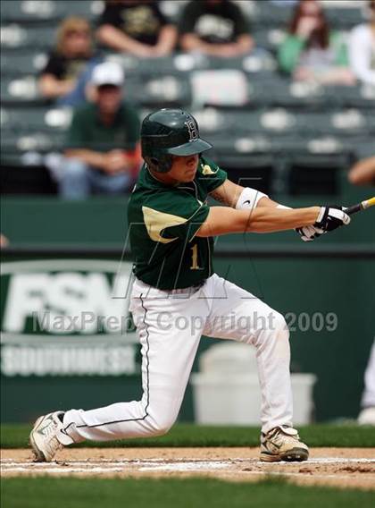 Thumbnail 3 in Birdville @ Highland Park photogallery.
