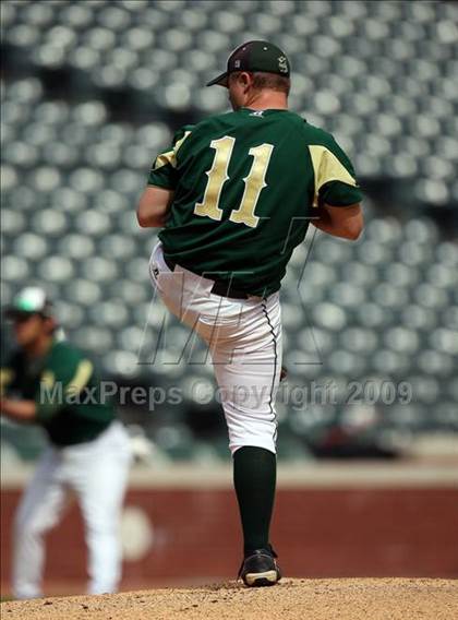 Thumbnail 3 in Birdville @ Highland Park photogallery.