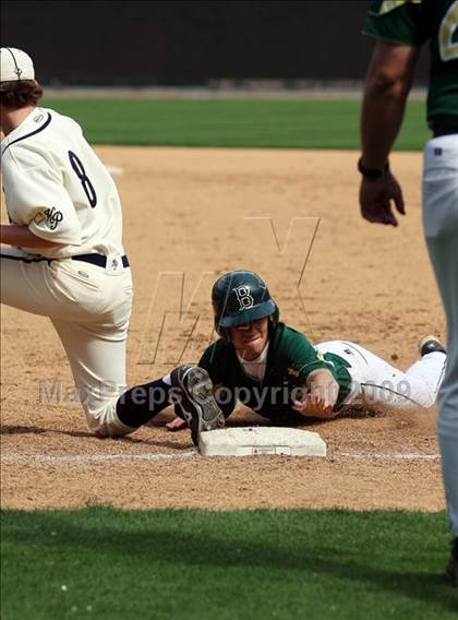 Thumbnail 1 in Birdville @ Highland Park photogallery.