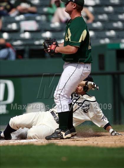 Thumbnail 2 in Birdville @ Highland Park photogallery.