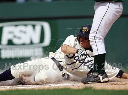Thumbnail 3 in Birdville @ Highland Park photogallery.