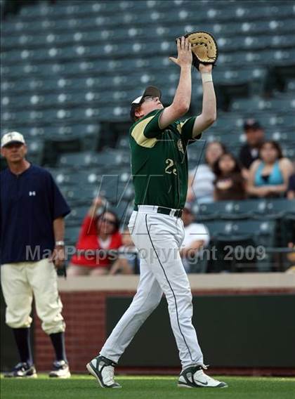 Thumbnail 3 in Birdville @ Highland Park photogallery.