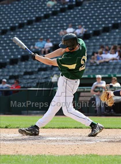 Thumbnail 3 in Birdville @ Highland Park photogallery.
