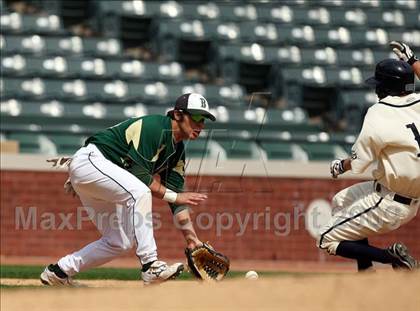 Thumbnail 1 in Birdville @ Highland Park photogallery.
