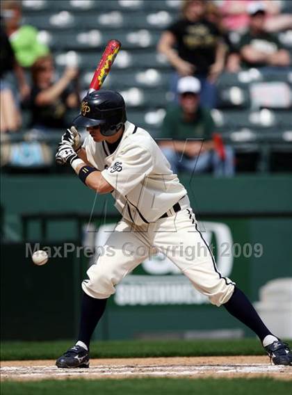 Thumbnail 3 in Birdville @ Highland Park photogallery.