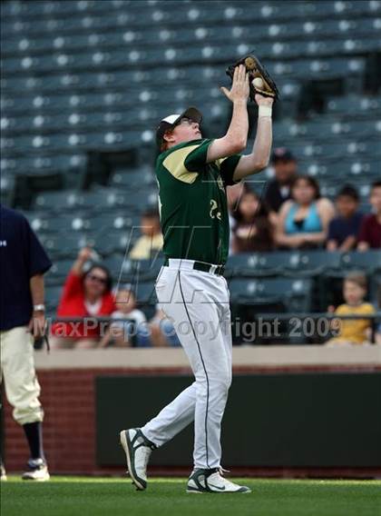 Thumbnail 1 in Birdville @ Highland Park photogallery.