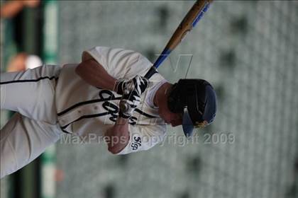 Thumbnail 1 in Birdville @ Highland Park photogallery.