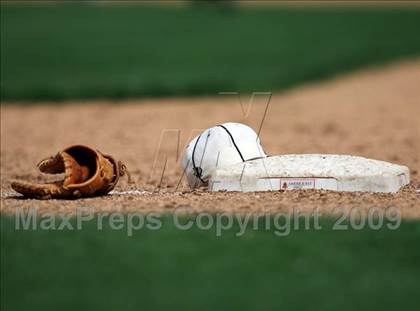 Thumbnail 2 in Birdville @ Highland Park photogallery.
