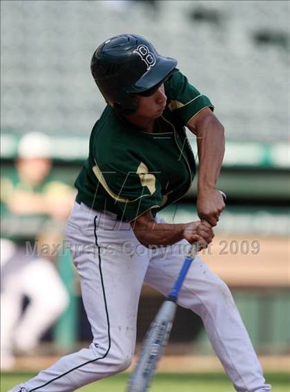 Thumbnail 1 in Birdville @ Highland Park photogallery.