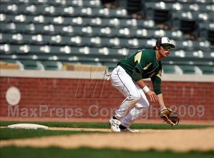 Thumbnail 3 in Birdville @ Highland Park photogallery.