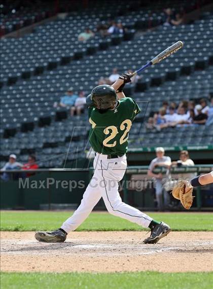 Thumbnail 1 in Birdville @ Highland Park photogallery.