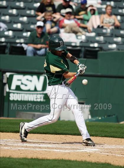 Thumbnail 1 in Birdville @ Highland Park photogallery.
