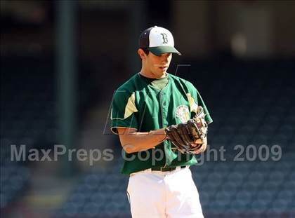 Thumbnail 3 in Birdville @ Highland Park photogallery.
