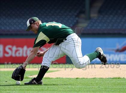 Thumbnail 3 in Birdville @ Highland Park photogallery.