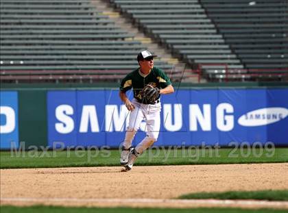Thumbnail 3 in Birdville @ Highland Park photogallery.