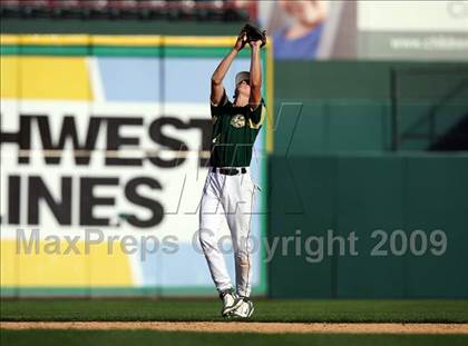 Thumbnail 2 in Birdville @ Highland Park photogallery.
