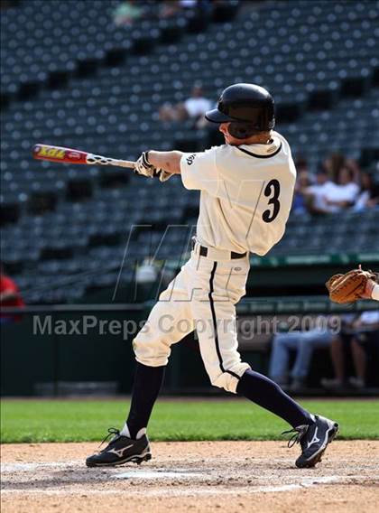 Thumbnail 3 in Birdville @ Highland Park photogallery.