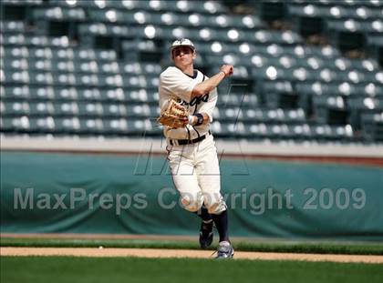 Thumbnail 1 in Birdville @ Highland Park photogallery.