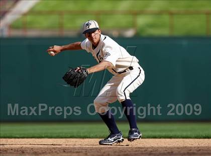 Thumbnail 1 in Birdville @ Highland Park photogallery.