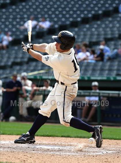 Thumbnail 3 in Birdville @ Highland Park photogallery.