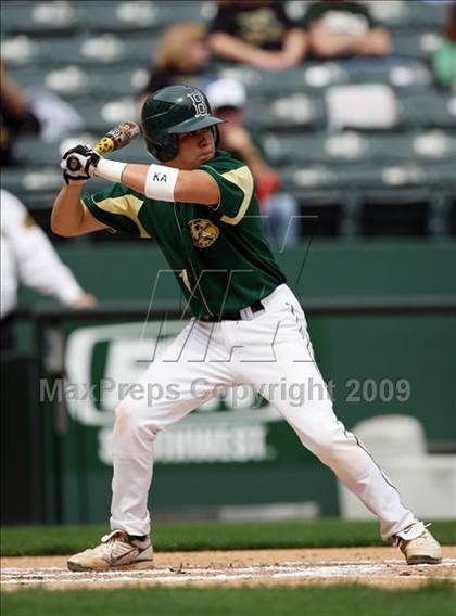 Thumbnail 1 in Birdville @ Highland Park photogallery.