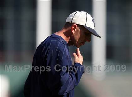 Thumbnail 2 in Birdville @ Highland Park photogallery.