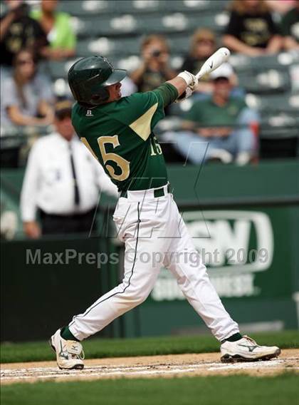 Thumbnail 3 in Birdville @ Highland Park photogallery.
