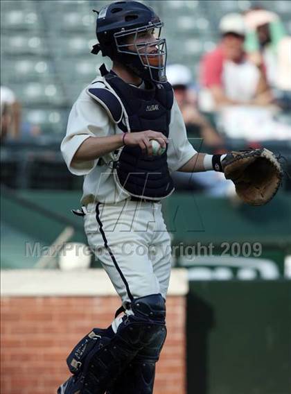 Thumbnail 2 in Birdville @ Highland Park photogallery.