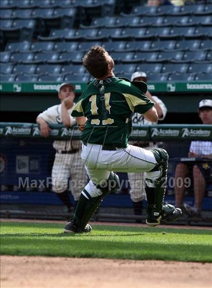 Thumbnail 3 in Birdville @ Highland Park photogallery.