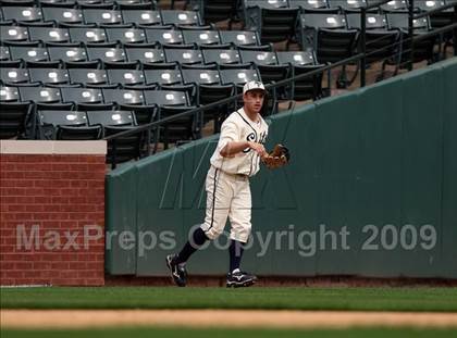 Thumbnail 3 in Birdville @ Highland Park photogallery.