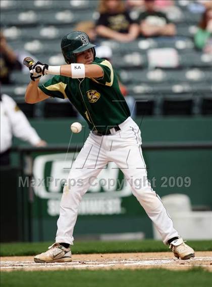 Thumbnail 2 in Birdville @ Highland Park photogallery.