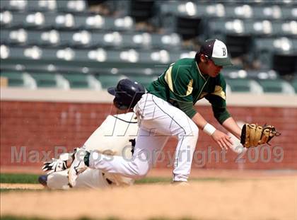 Thumbnail 3 in Birdville @ Highland Park photogallery.