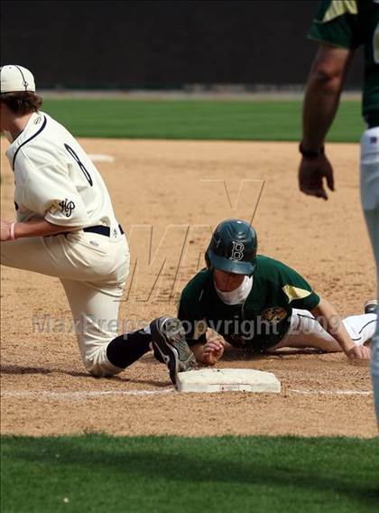Thumbnail 3 in Birdville @ Highland Park photogallery.