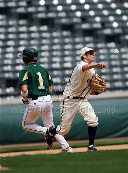 Thumbnail 2 in Birdville @ Highland Park photogallery.