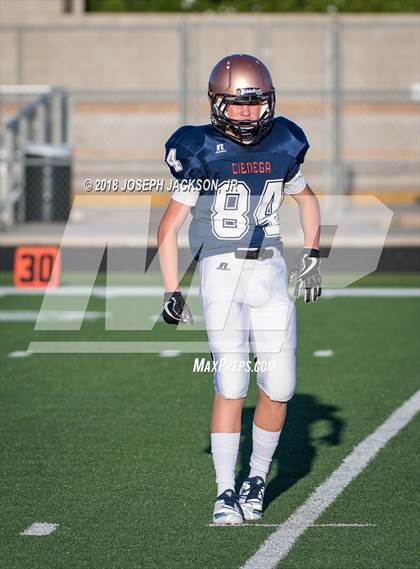 Thumbnail 3 in Cienega vs. Catalina Foothills photogallery.