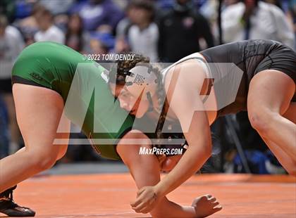 Thumbnail 1 in UIL State Championships - 5A 148lb Final photogallery.