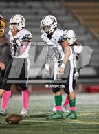 Photo from the gallery "Coronado @ Mission Bay"