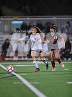 Photo from the gallery "Northbrook @ Memorial"