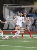 Photo from the gallery "Northbrook @ Memorial"