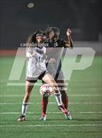 Photo from the gallery "Northbrook @ Memorial"