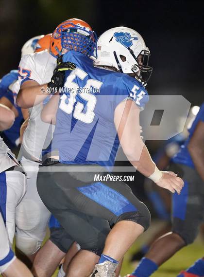 Thumbnail 2 in Osceola @ Dixie Hollins photogallery.