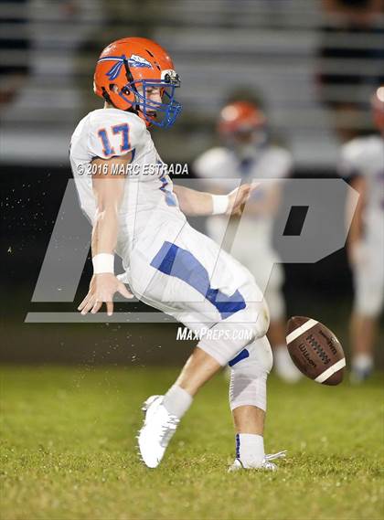 Thumbnail 3 in Osceola @ Dixie Hollins photogallery.