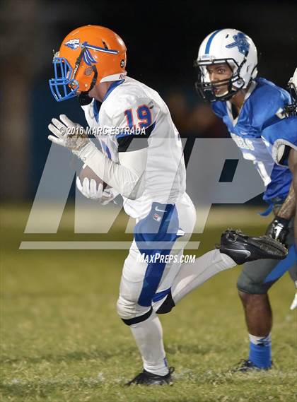 Thumbnail 3 in Osceola @ Dixie Hollins photogallery.