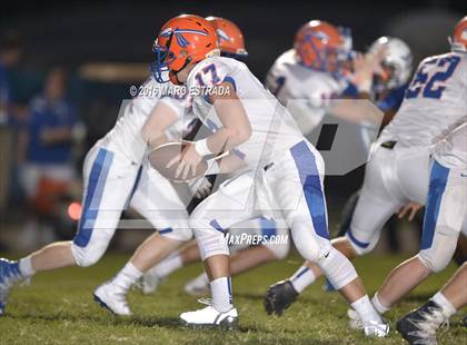 Thumbnail 2 in Osceola @ Dixie Hollins photogallery.
