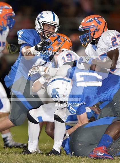 Thumbnail 1 in Osceola @ Dixie Hollins photogallery.
