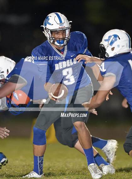 Thumbnail 1 in Osceola @ Dixie Hollins photogallery.
