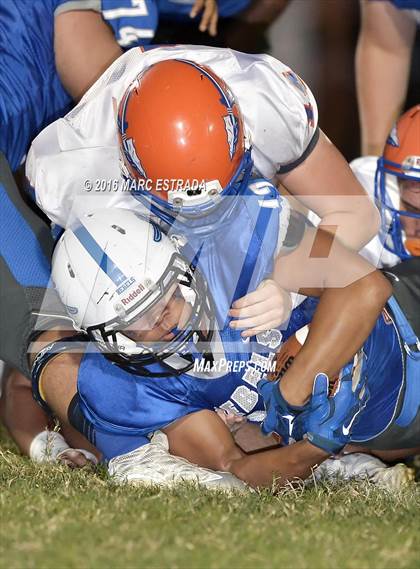 Thumbnail 2 in Osceola @ Dixie Hollins photogallery.